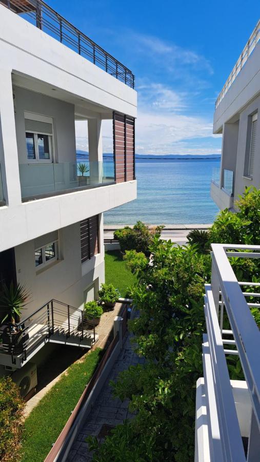 Villa Amare Luxury Living Volos Exterior foto